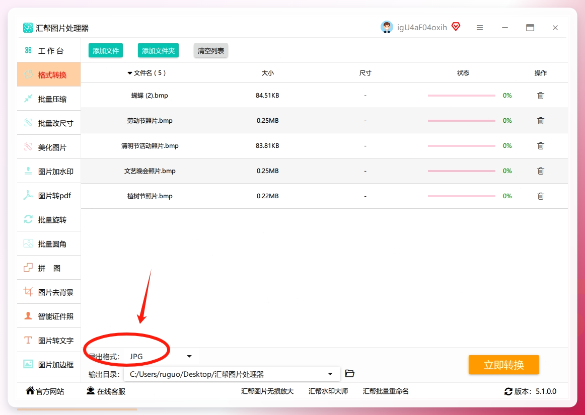 选择输出格式