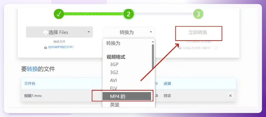 Zamzar转换设置页面
