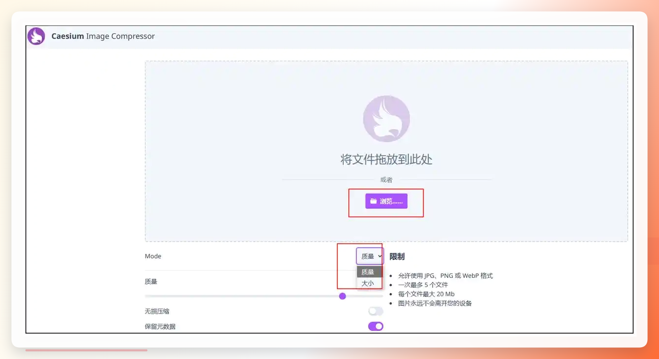 CAESIUM界面