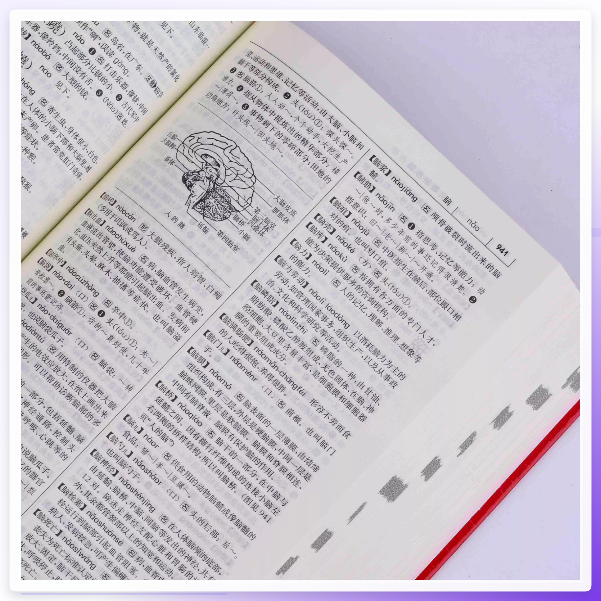 汉语宝典注音功能