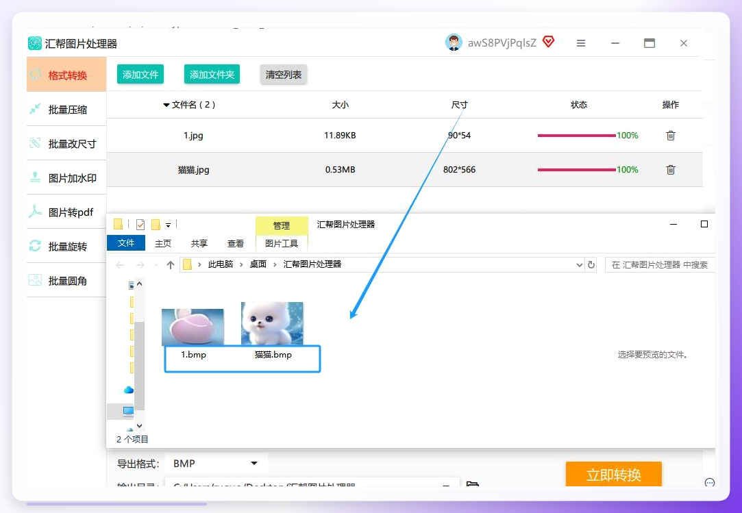 转换完成的输出结果