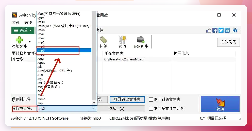 Switch设置格式