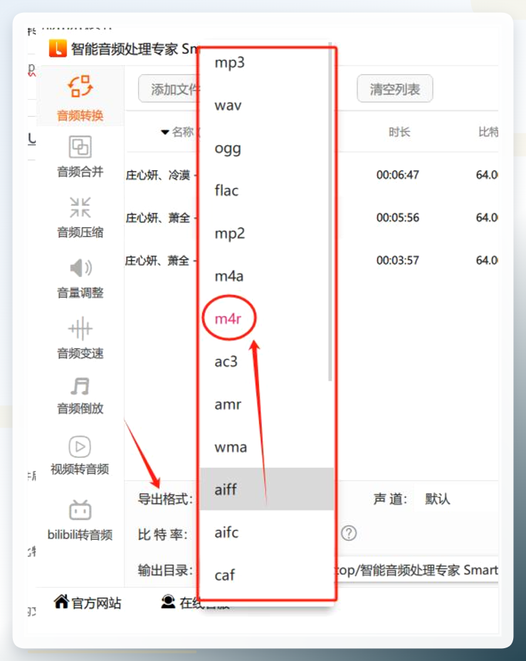 格式选择界面