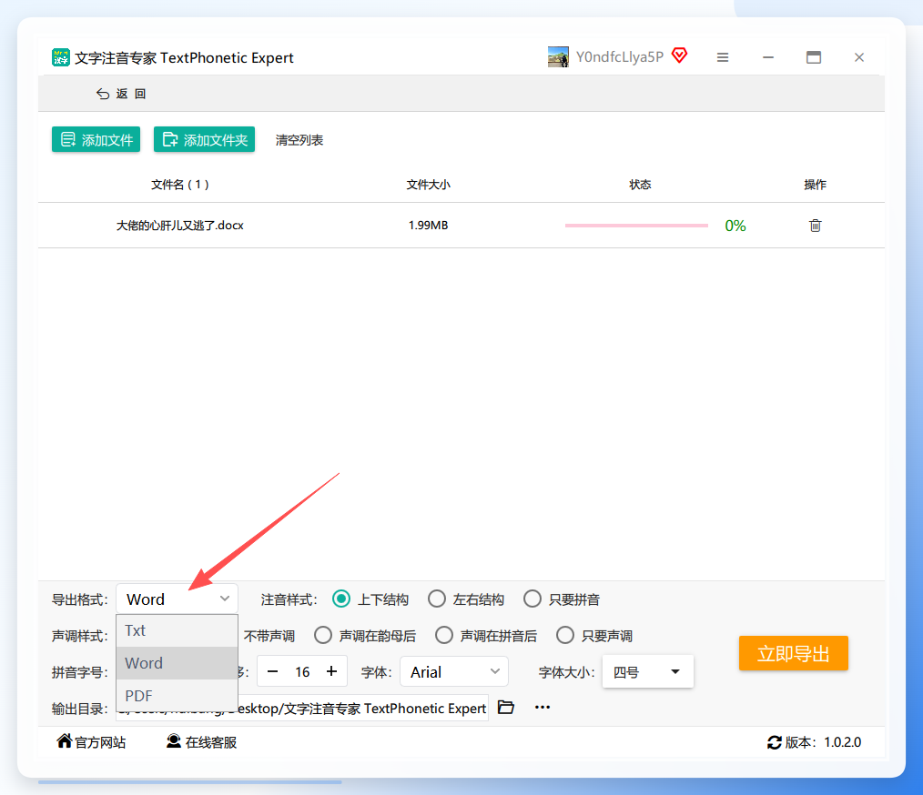 选择导出格式