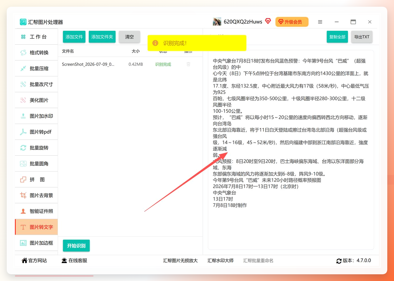 识别结果预览