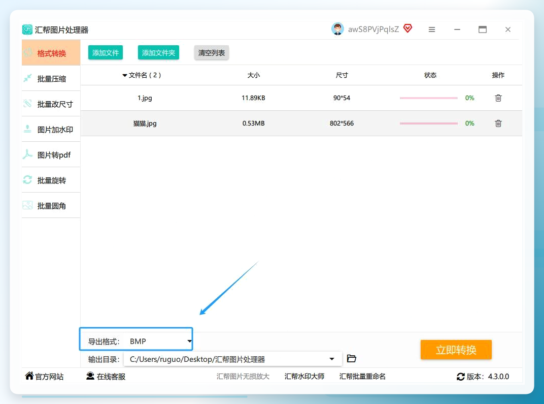 选择导出格式为BMP