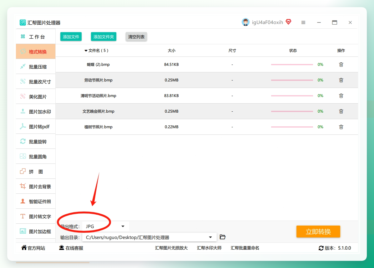 选择输出格式界面