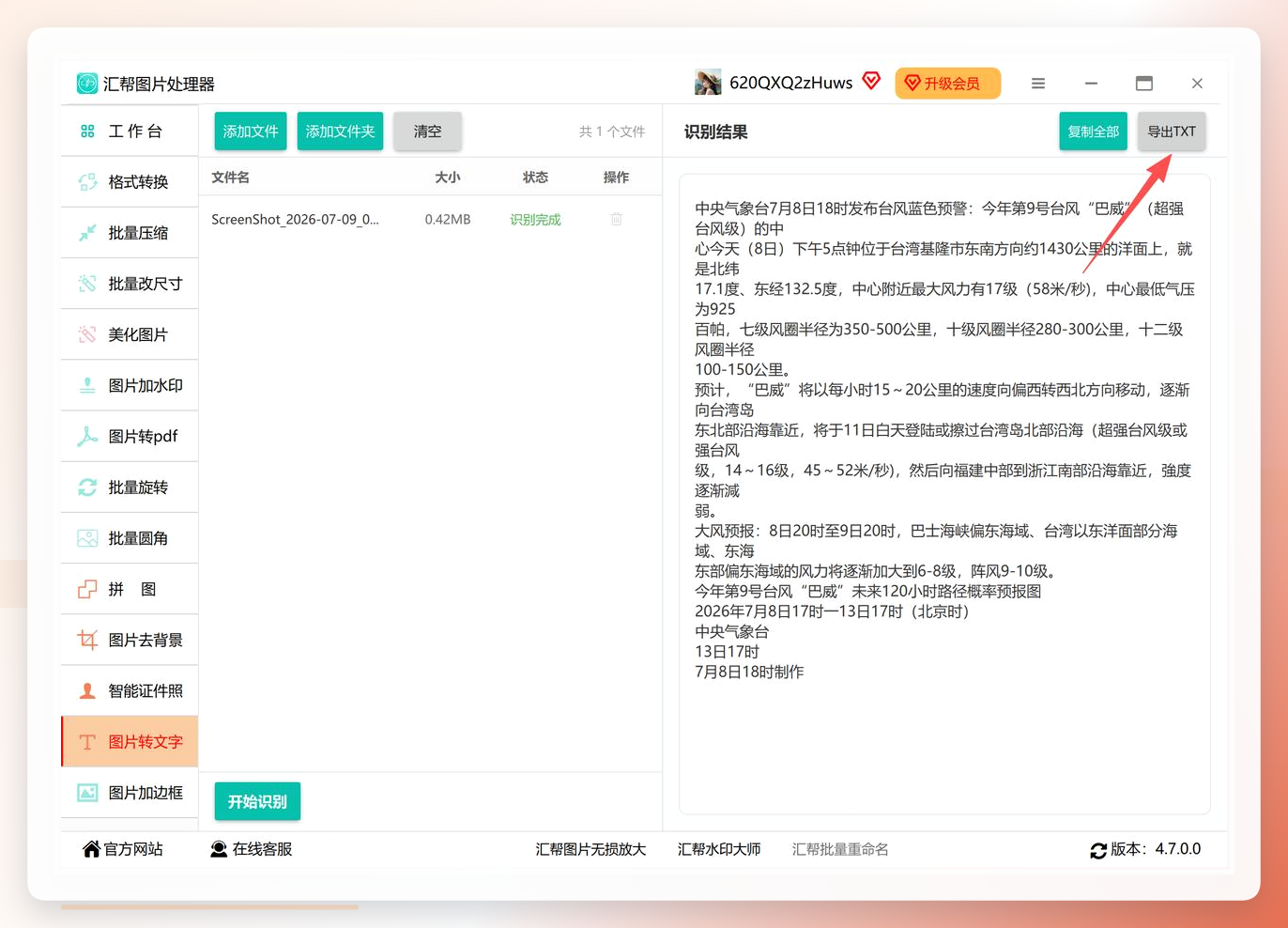 导出选项