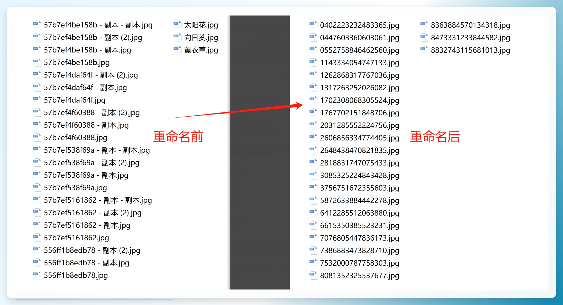 文件夹中查看结果