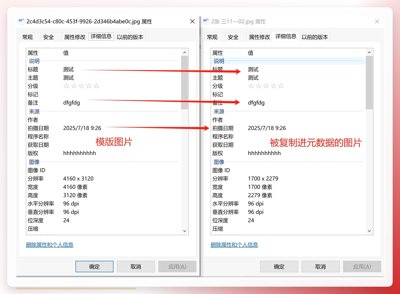 元数据复制效果验证