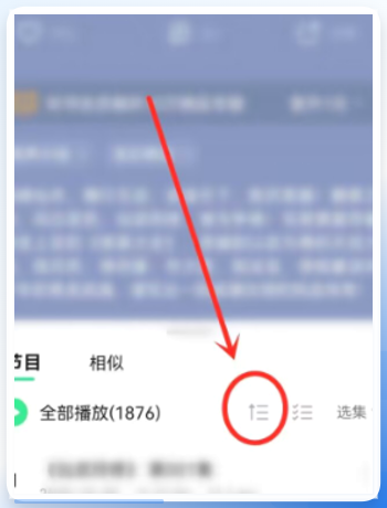 专辑列表中的顺序播放图标