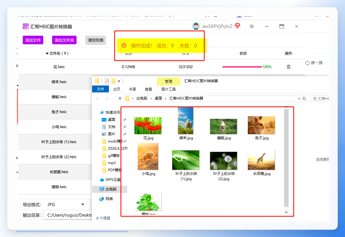 检查转换后的图片质量