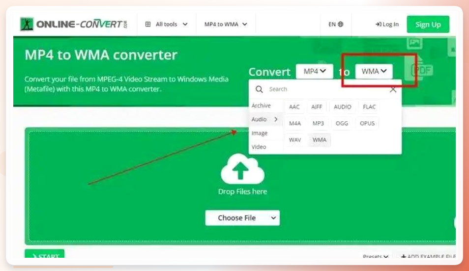 Online-Convert选择目标格式