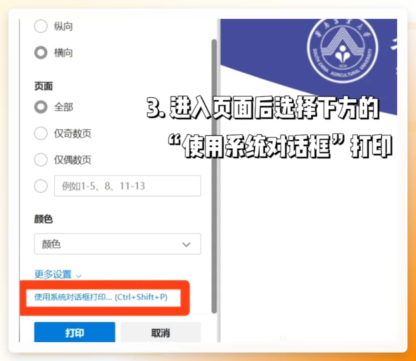 浏览器查看PDF内容