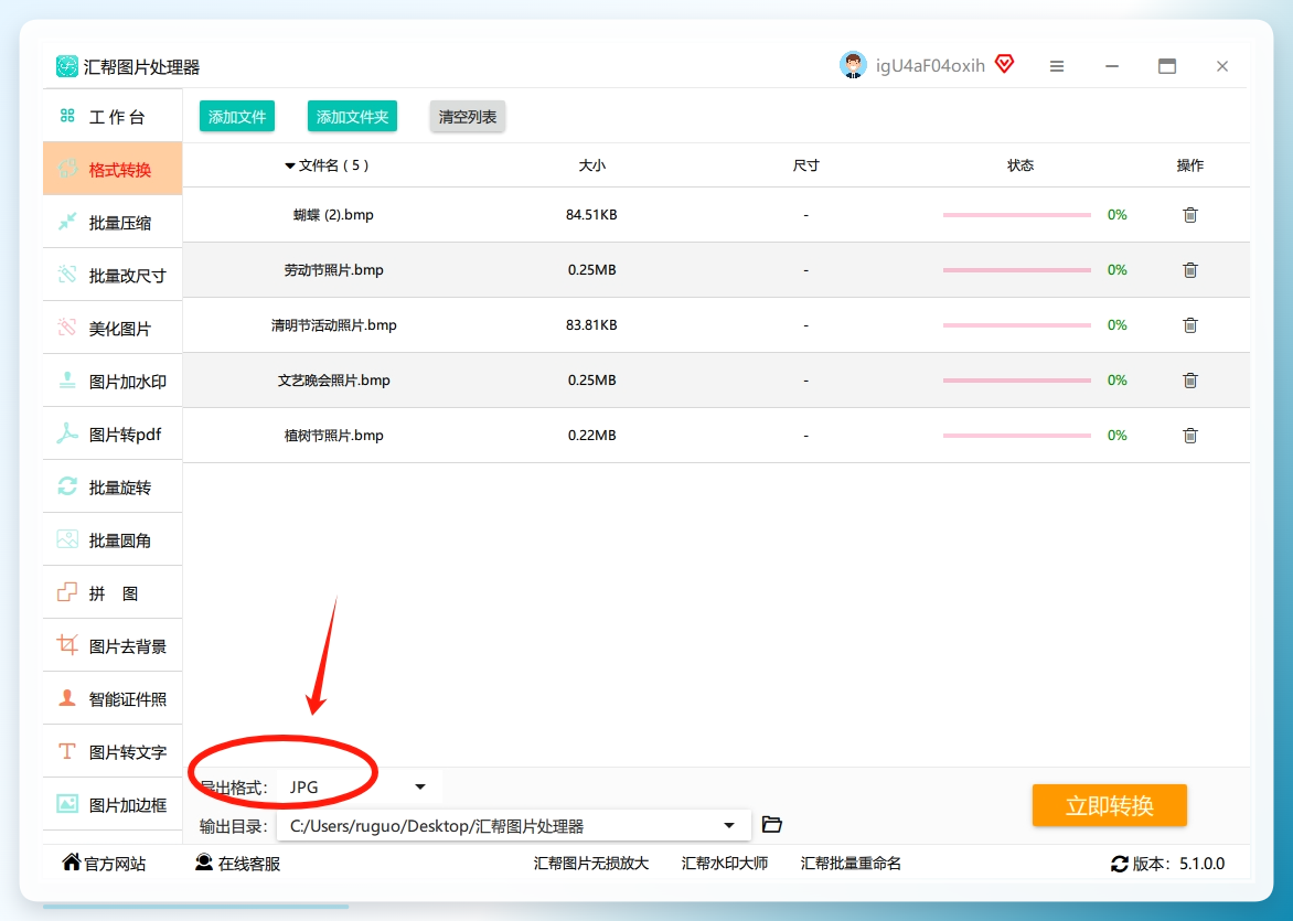 选择输出格式