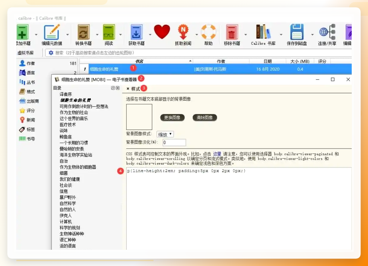 Calibre转换设置界面