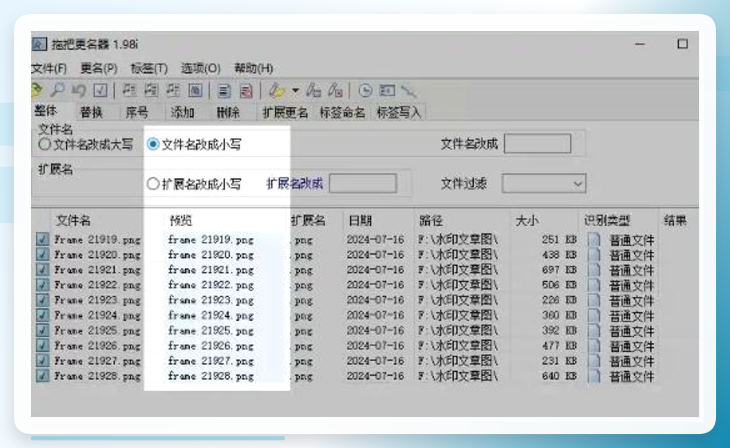 整体设置中勾选转小写选项