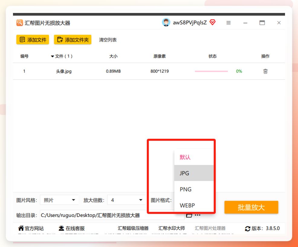 输出格式选择