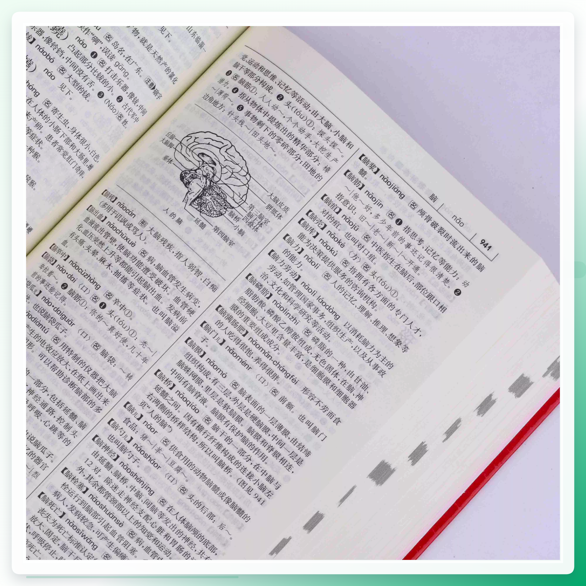 汉语宝典界面