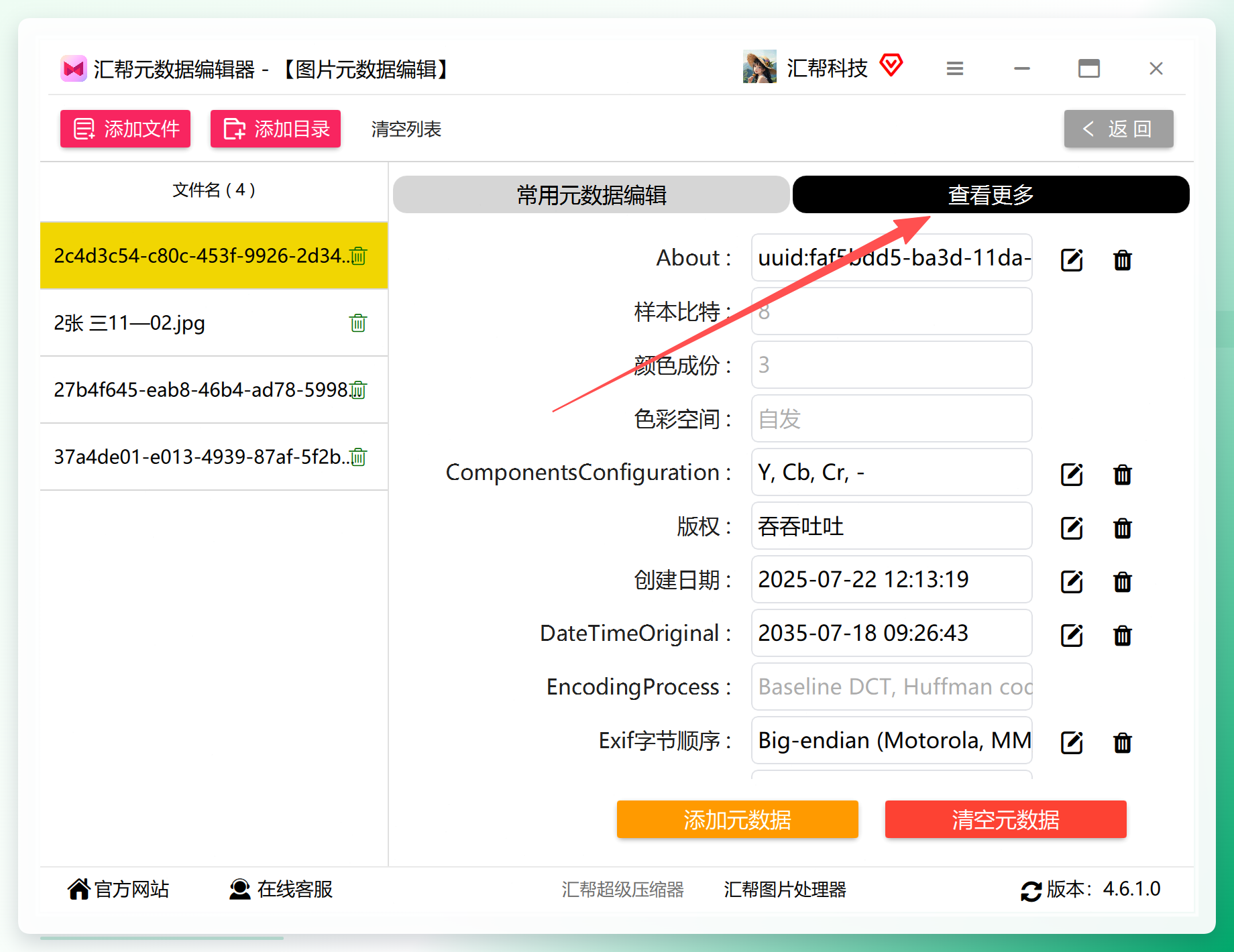 查看图片元数据详情