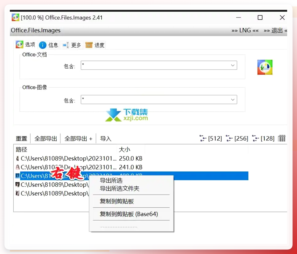 WordPic Extractor界面