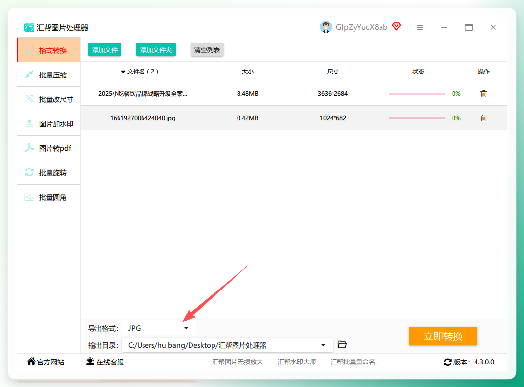 配图2：软件下方“导出格式”选择区域，显示多种格式选项