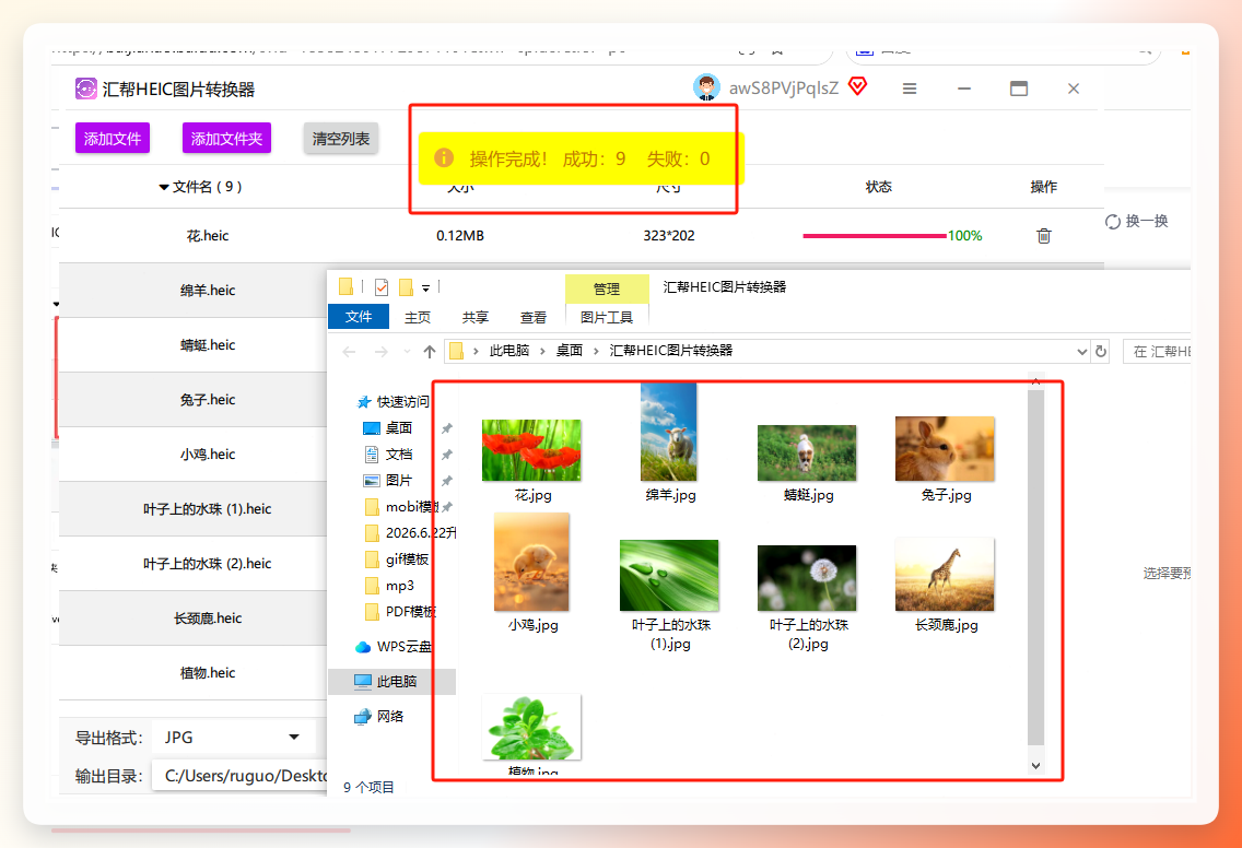 检查转换后的图片质量
