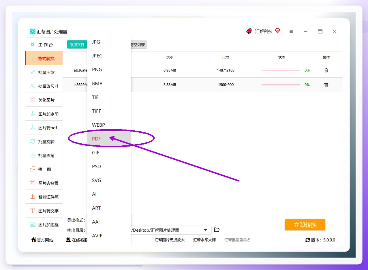 设置导出格式为PDF