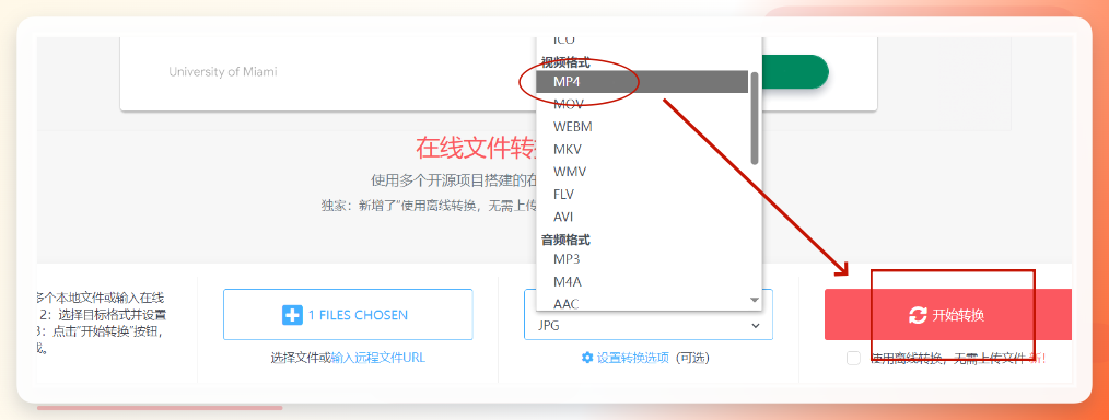 Online File Converter-选择格式并转换