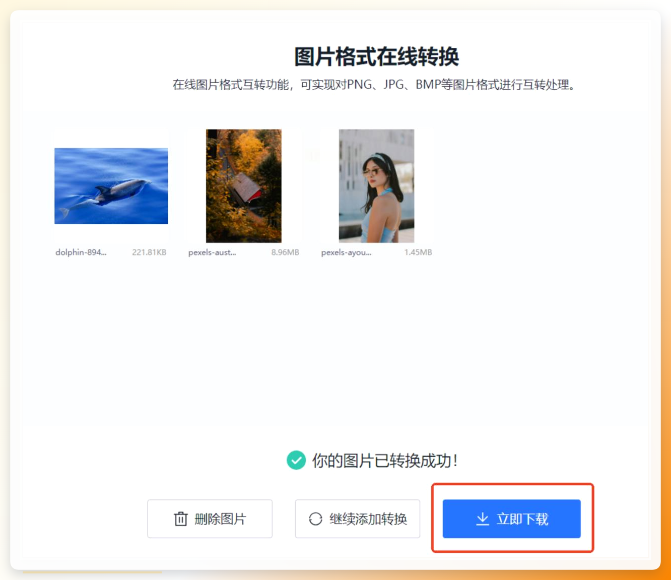 在线转换下载结果