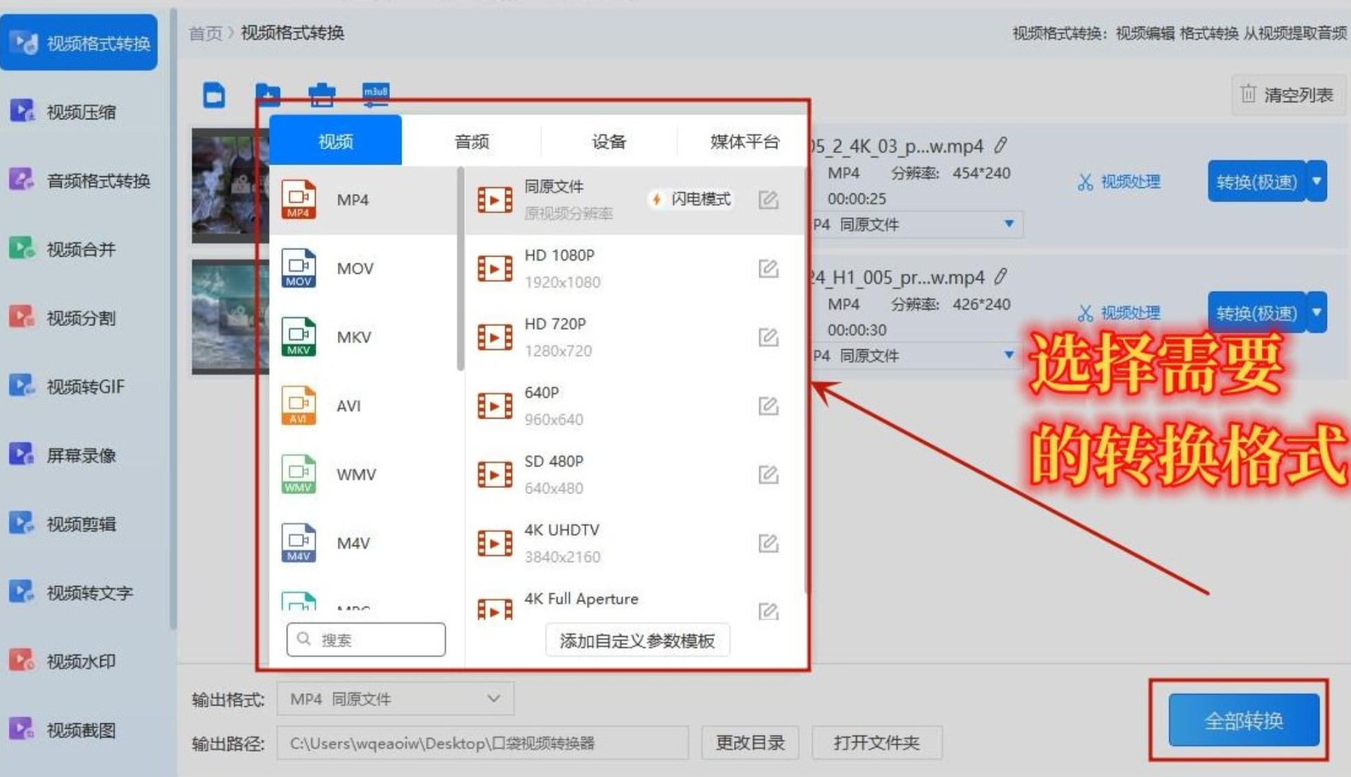 选择格式并转换