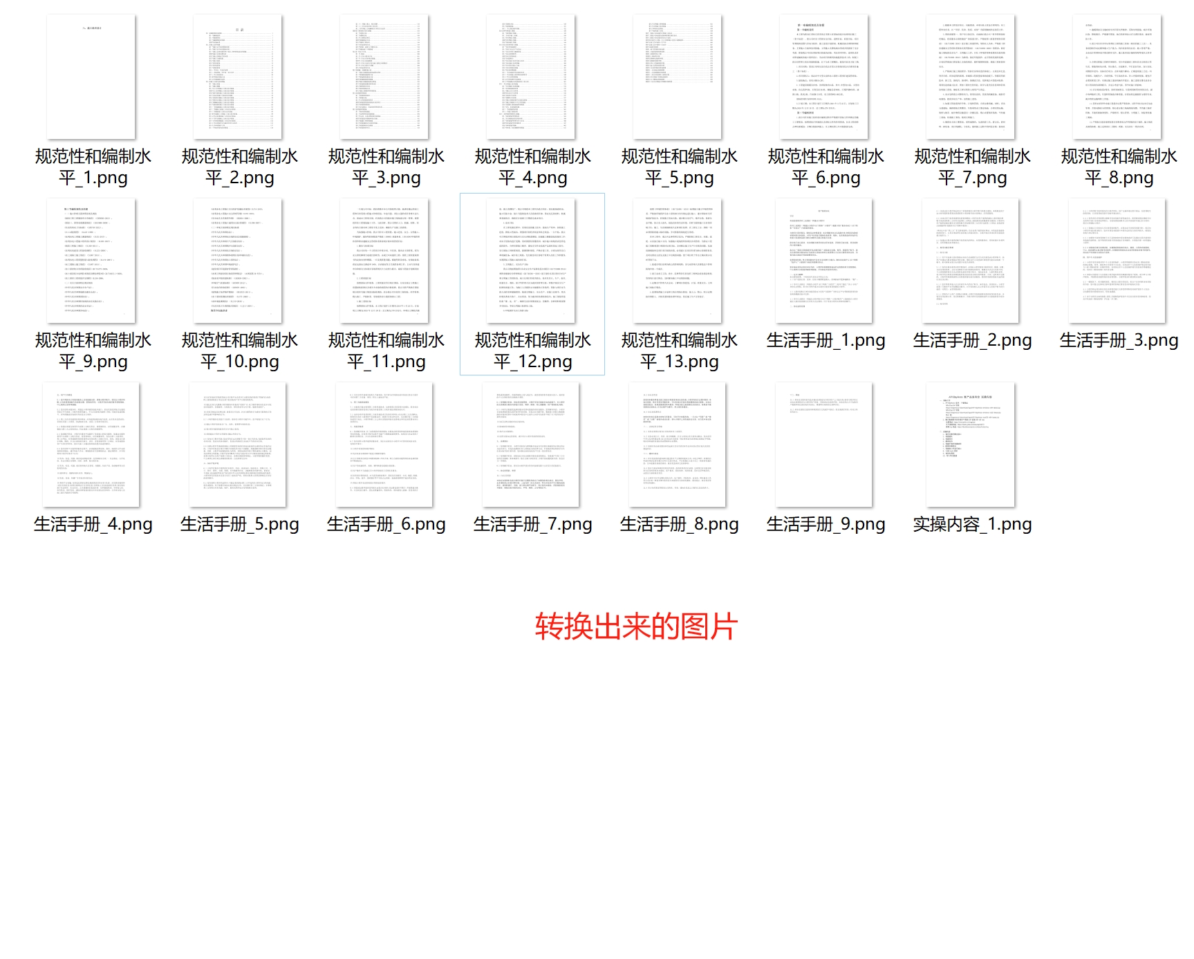 转换完成的PNG图片