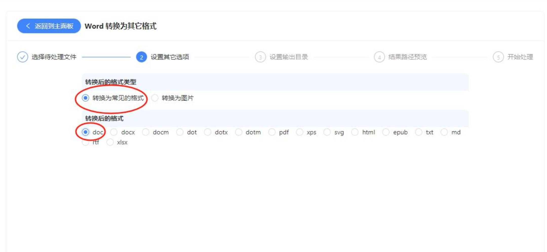 设置转换选项