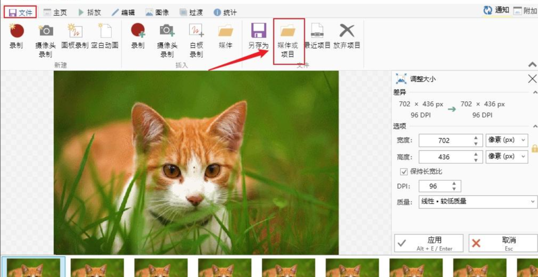ScreenToGif调整大小