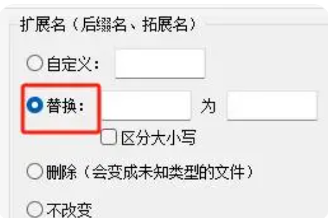 设置扩展名替换