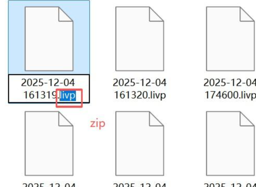 修改后缀为zip