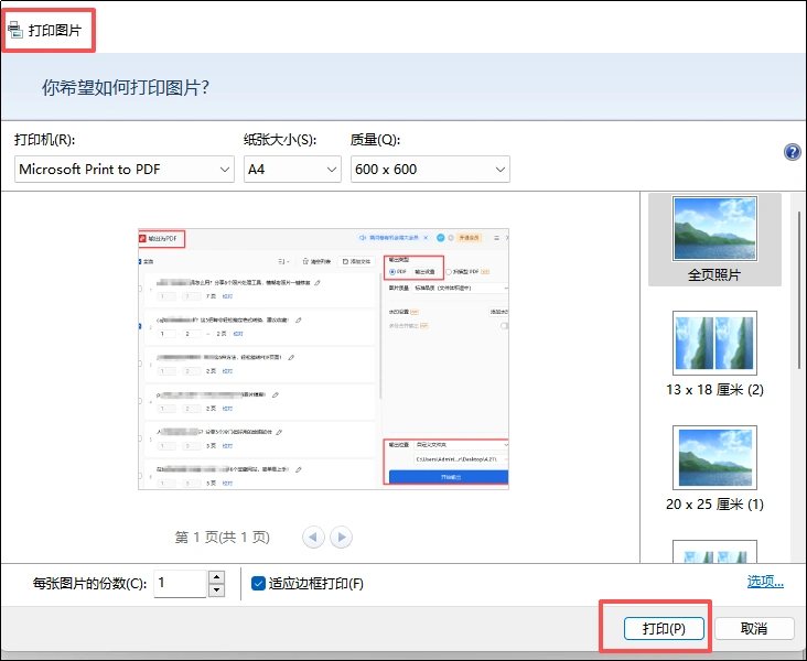 截图打印操作示例