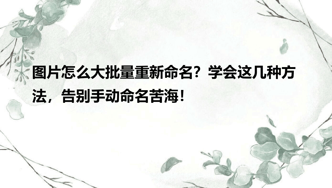 图片